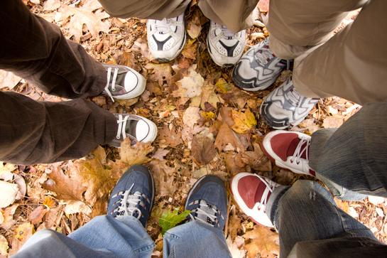 Verbreitung (Gewicht)